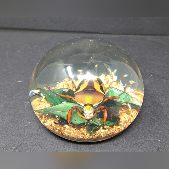 Vintage Lucite Paperweight Containing A Large Beatle - Picture 5 of 7